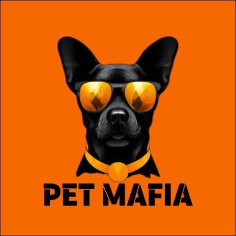 Как быстро разбогатеть в 2026 году в России.